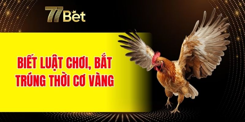 Game Bài Mậu Binh Đổi Thưởng - Nâng Tầm Đỉnh Cao Mới 7 Biết luật chơi, bắt trúng thời cơ vàng