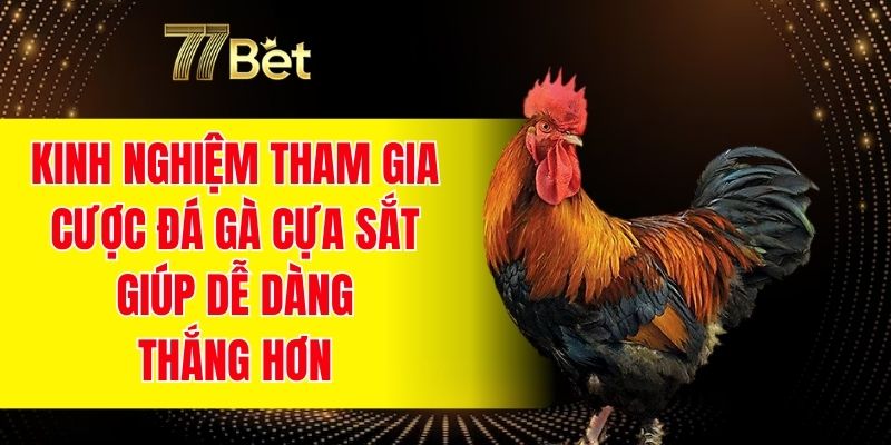 Kinh nghiệm tham gia cược đá gà cựa sắt giúp dễ dàng thắng hơn