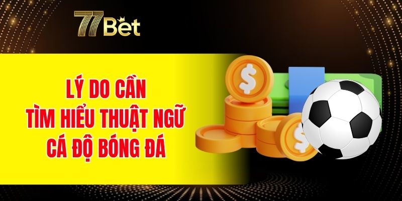 Lý do cần tìm hiểu thuật ngữ cá độ bóng đá