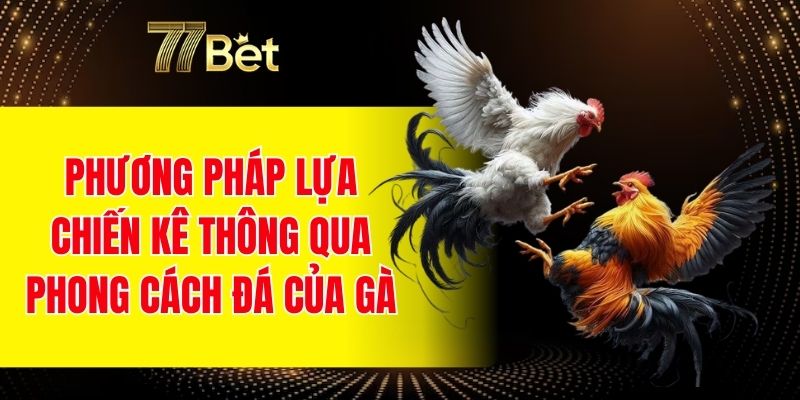 Phương pháp lựa chiến kê thông qua phong cách đá của gà